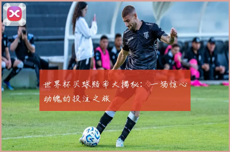 世界杯买球赔率大揭秘：一场惊心动魄的投注之旅