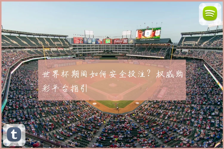 世界杯期间如何安全投注?权威购彩平台指引
