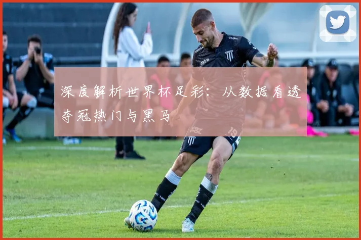 深度解析世界杯足彩:从数据看透夺冠热门与黑马