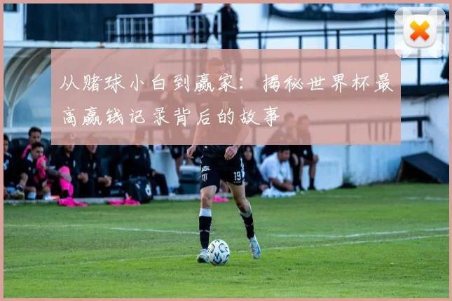 从赌球小白到赢家：揭秘世界杯最高赢钱记录背后的故事