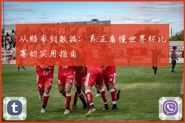 从赔率到数据:真正看懂世界杯比赛的实用指南