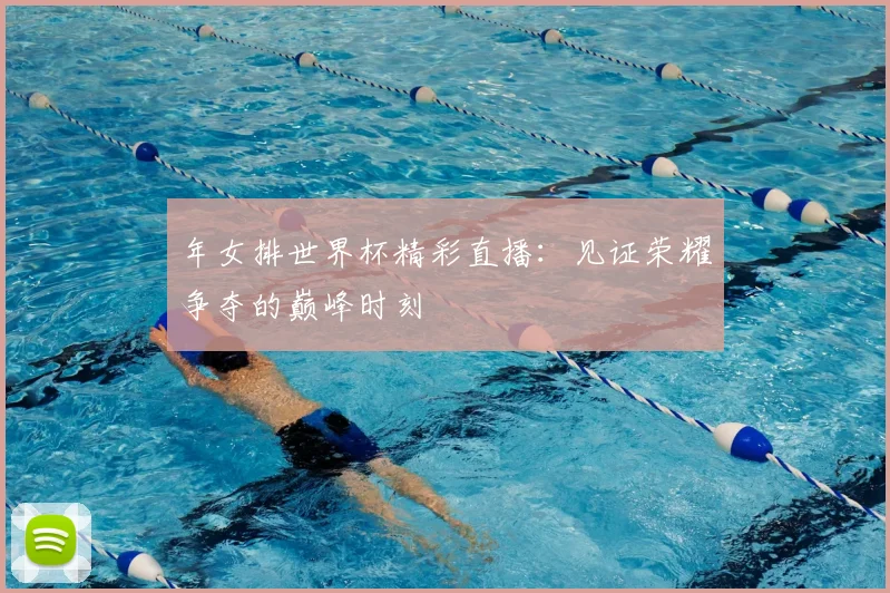 年女排世界杯精彩直播：见证荣耀争夺的巅峰时刻