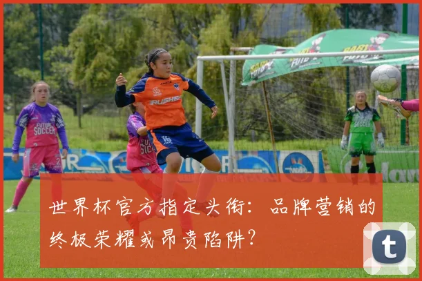 世界杯官方指定头衔:品牌营销的终极荣耀或昂贵陷阱?
